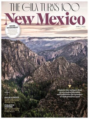 cover image of New Mexico Magazine